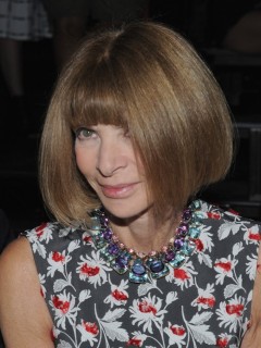 Анна Винтур (50 фото)
