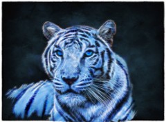 Фотосессия на Новый год 2022 года голубого водяного тигра (53 фото) Фотосессия на Новый год 2022 года голубого водяного тигра (53 фото)