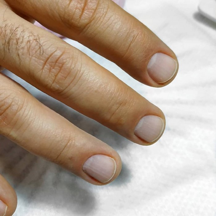 Доминик Монаган сейчас