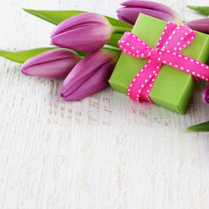 Поздравление с 8 марта кот