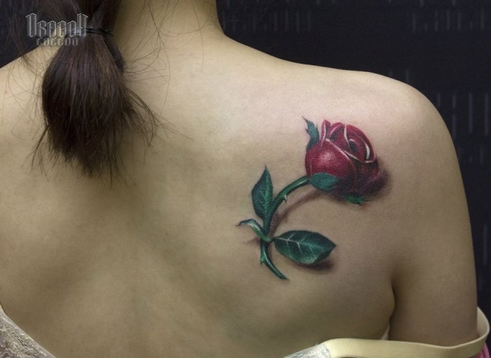 Красивые женские тату на лопатке