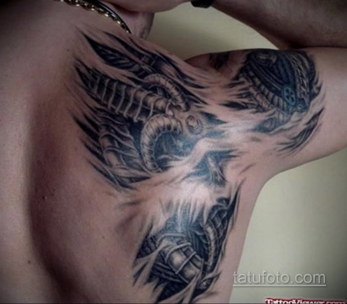 ТПТУ на лапатее мужское