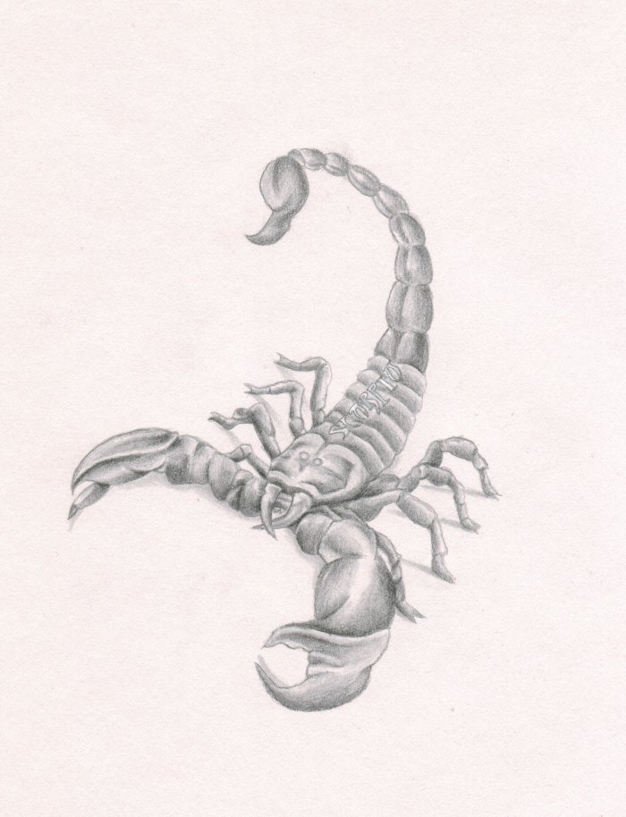 Стилизованный Скорпион