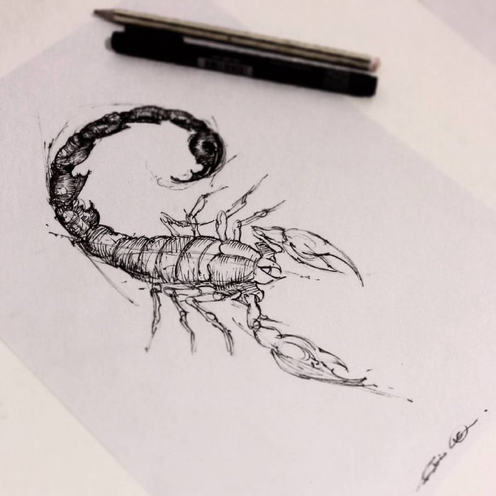 Татуировка Скорпион трайбл