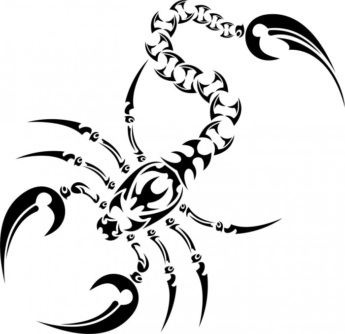 Тату Скорпион эскизы