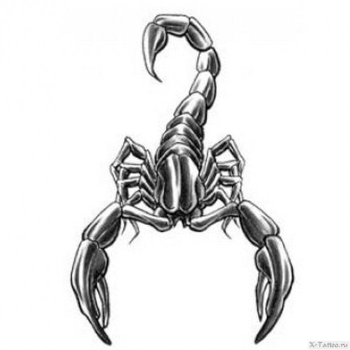 Скорпион узор