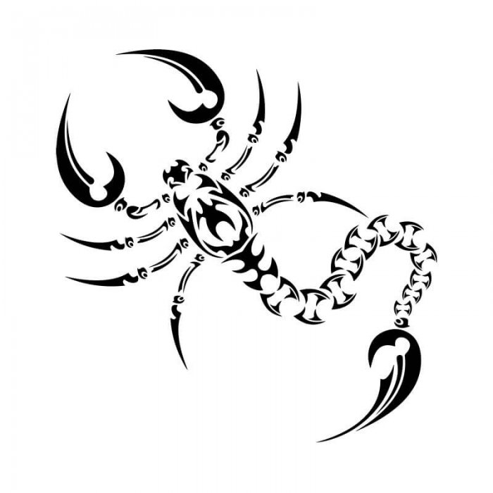 Татуировка скорпиона в стиле трайбл