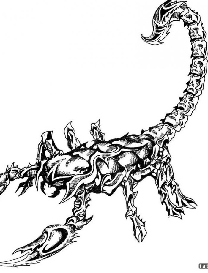 Тату Скорпион эскизы для девушек