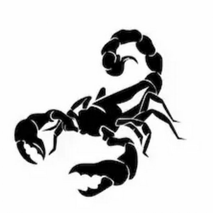 Тату Скорпион эскизы для мужчин