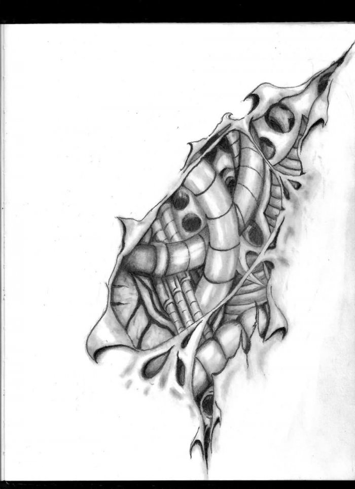 Эскизы для тату биометрика