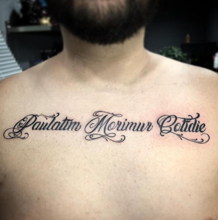 Спаси и сохрани на латыни