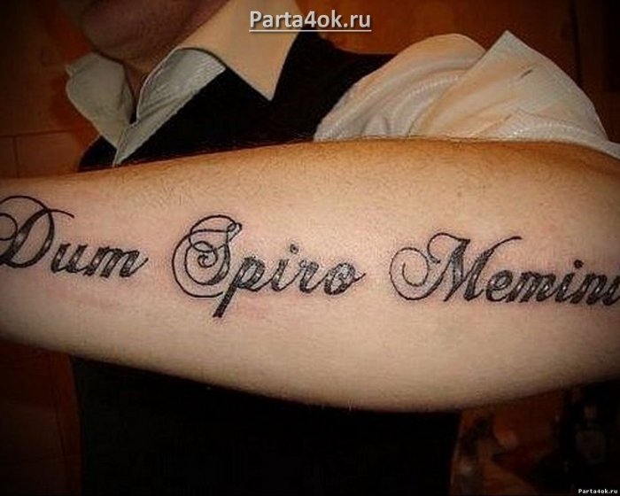 Тату надписи
