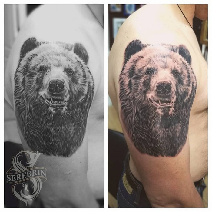Тату медведь на плече
