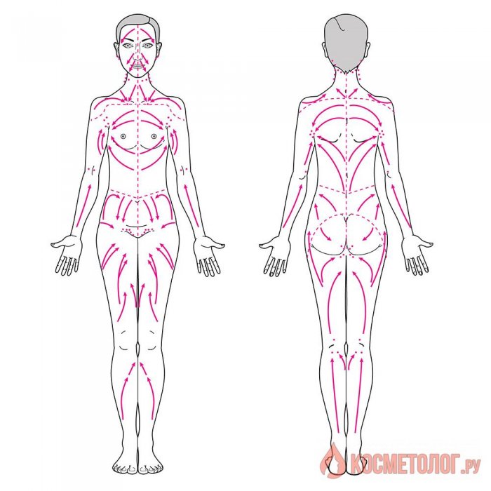 Лимфатическая система человека схема движения массажа