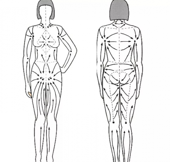 Массажные линии тела схема лимфа