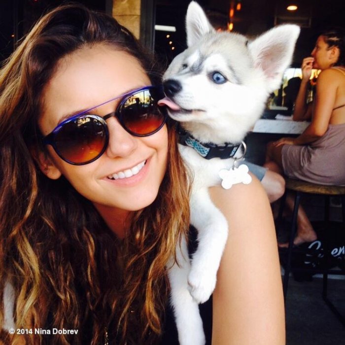 Нина Добрев фото