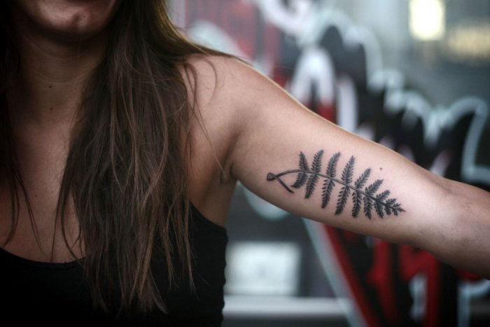 тату папоротник эскизы