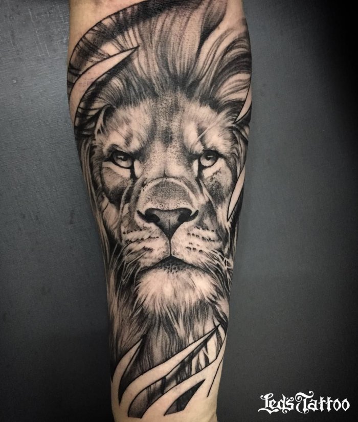 тату лев на предплечье для мужчин