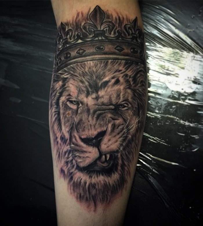 тату лев на предплечье