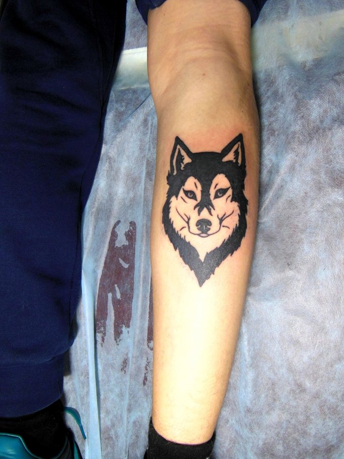 тату волк блэкворк
