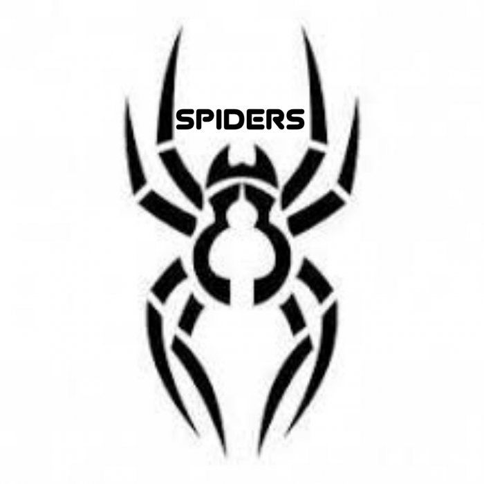 тату трайбл паук