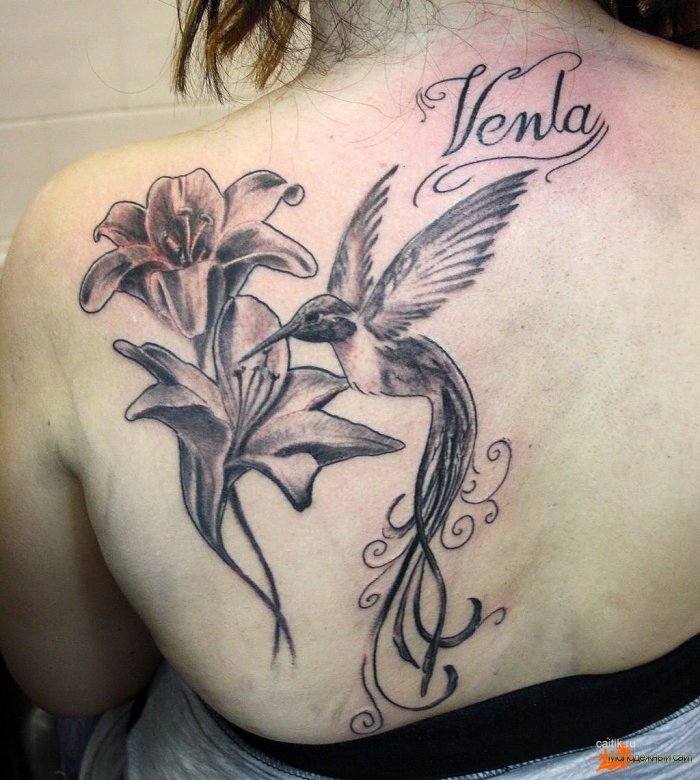 тату колибри на лопатке