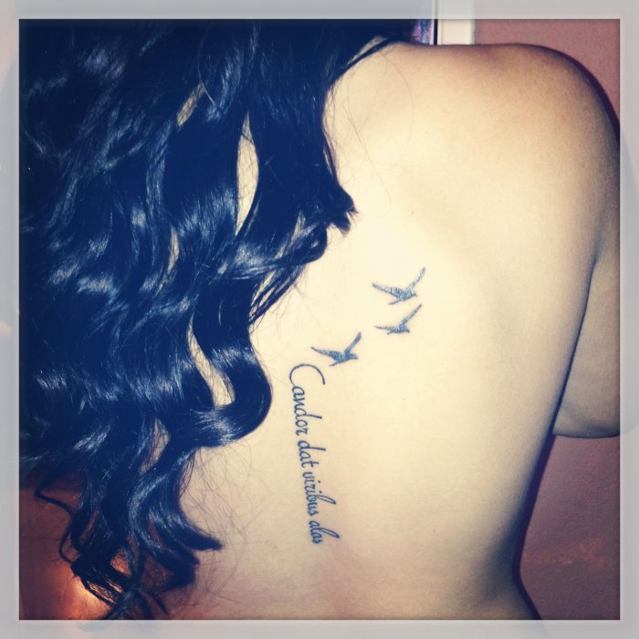 Тату надпись никогда не сдавайся на спине