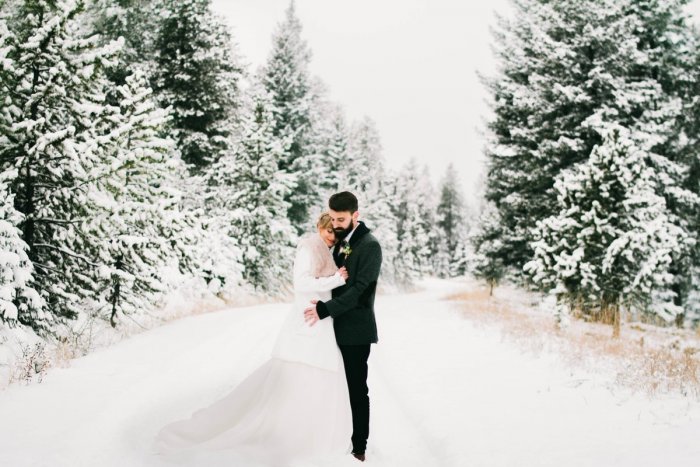 Зимний фон для свадебной фотосессии