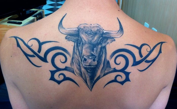 Тату бык