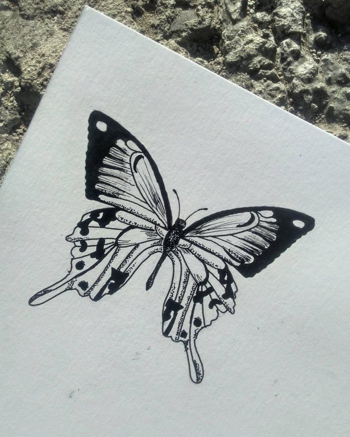 Из кис Татуировки бабочки