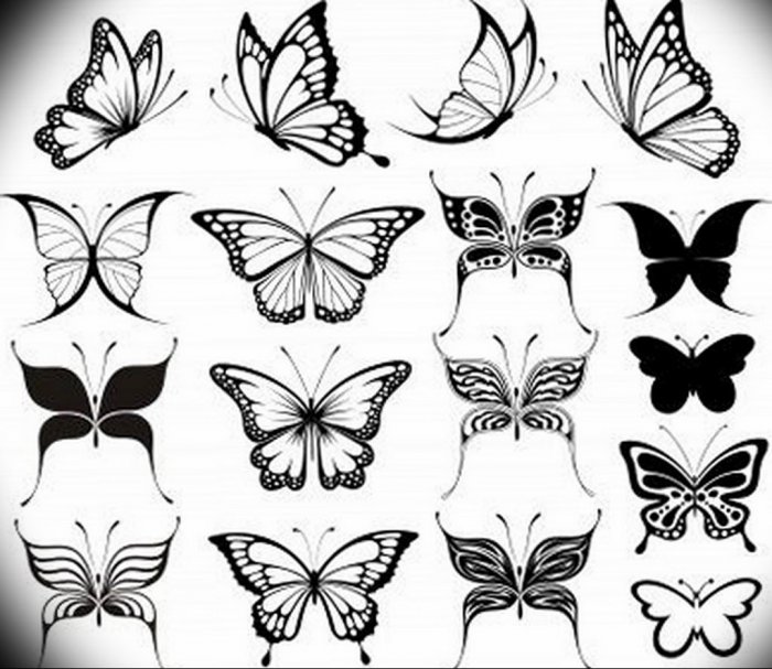 Тату бабочки печать