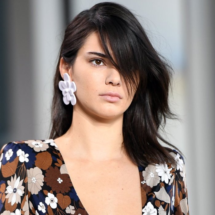 Дженнер Кендалл Дженнер