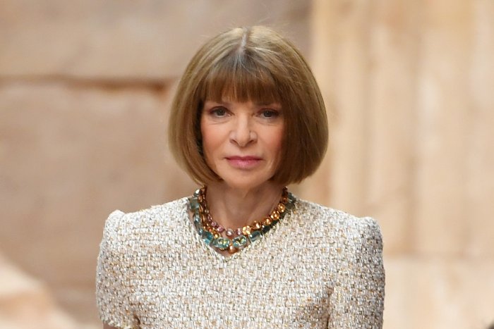 Анны Винтур с длинными волосами