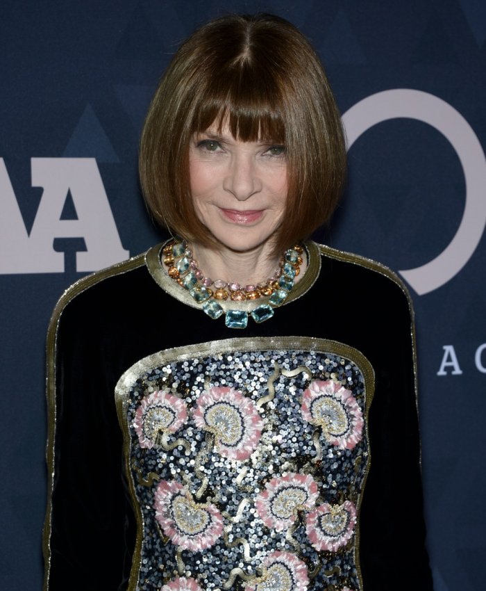 Анна Винтур Анна Каренина