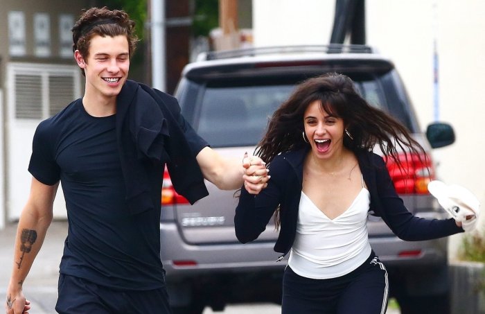 Роман камина кабела и шов Менденс