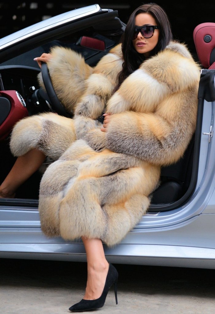 Dennis basso коллекции