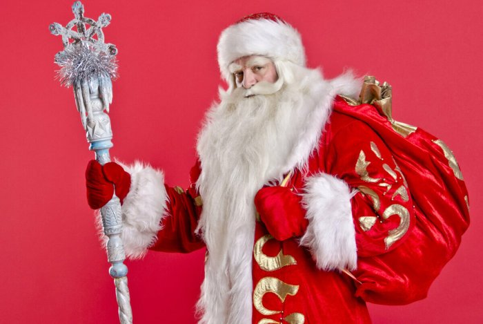 Дед Мороз мультяшный