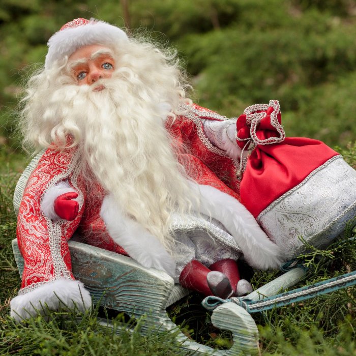 Дедушка морж