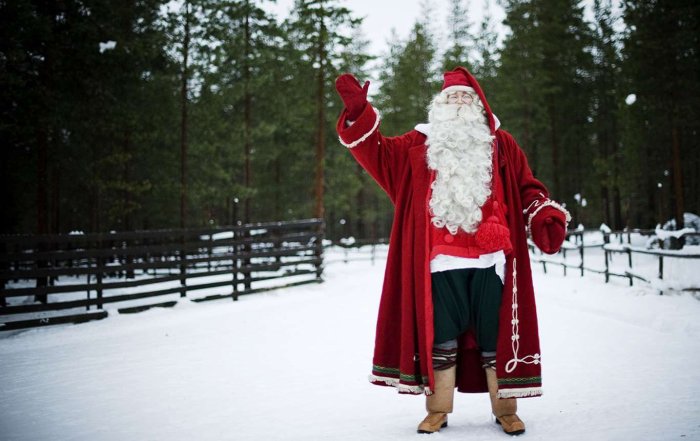 Дед с розой