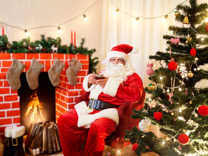 Дед Мороз с ноутбуком