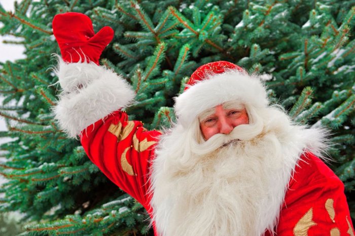 Новый год дед Мороз