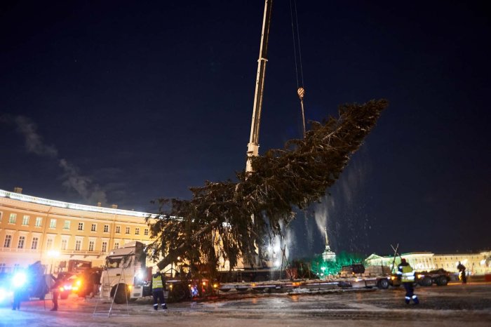 Новый год 2022 год год тигра