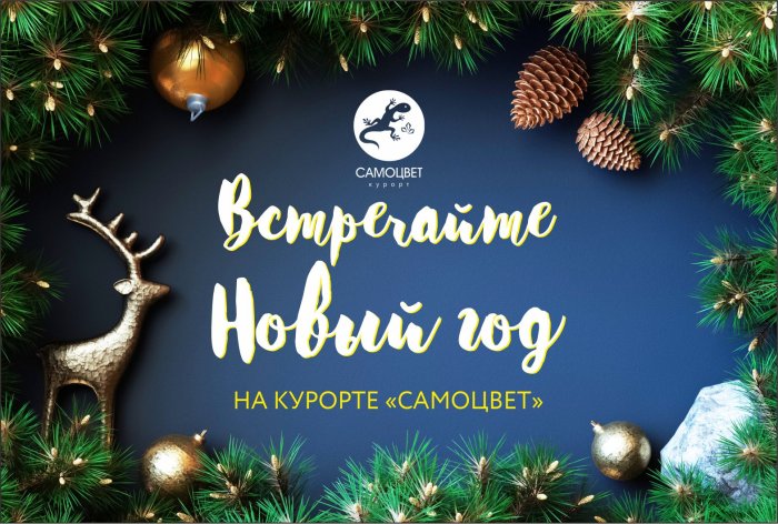 Новогодняя ночь 2021 в баре