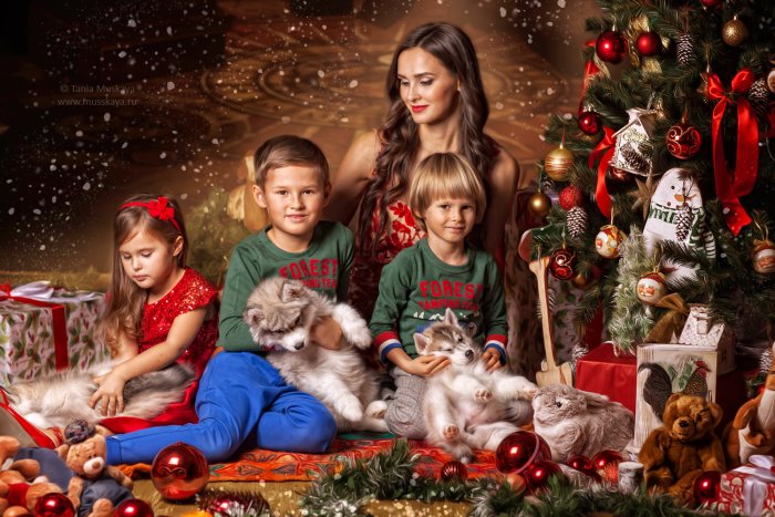 Интересные новогодние фотосессии