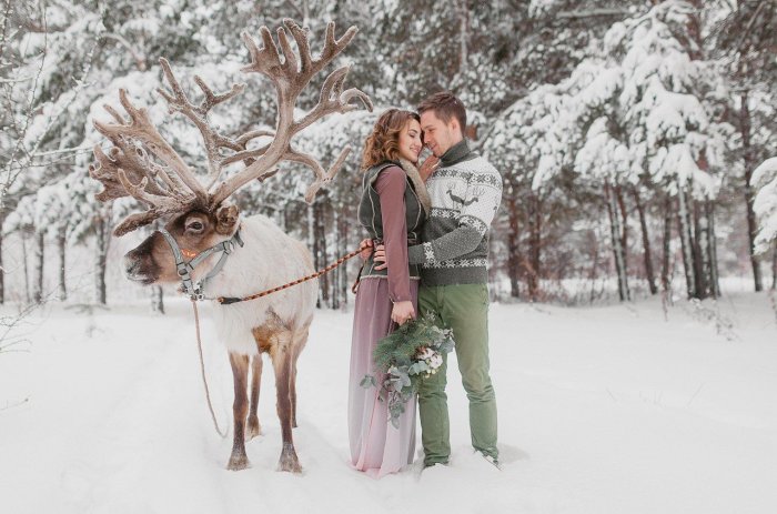 Зимняя фотосессия с оленем