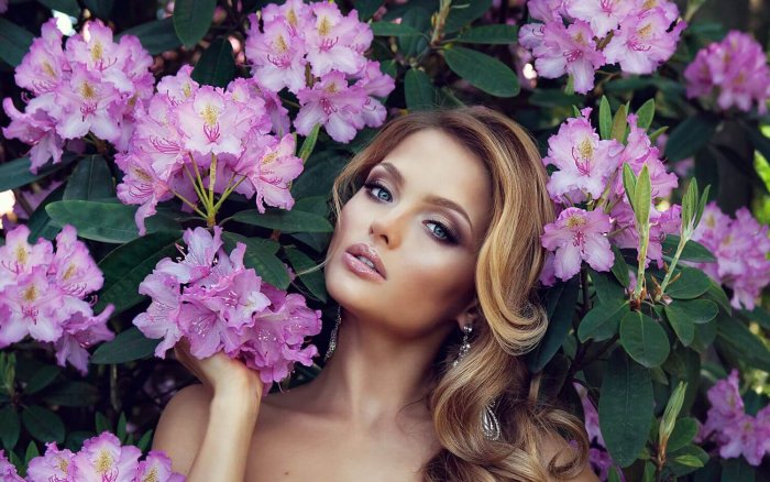 Паутинник козий Cortinarius traganus