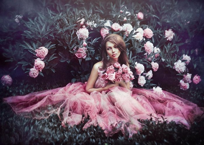 Художественная фотография