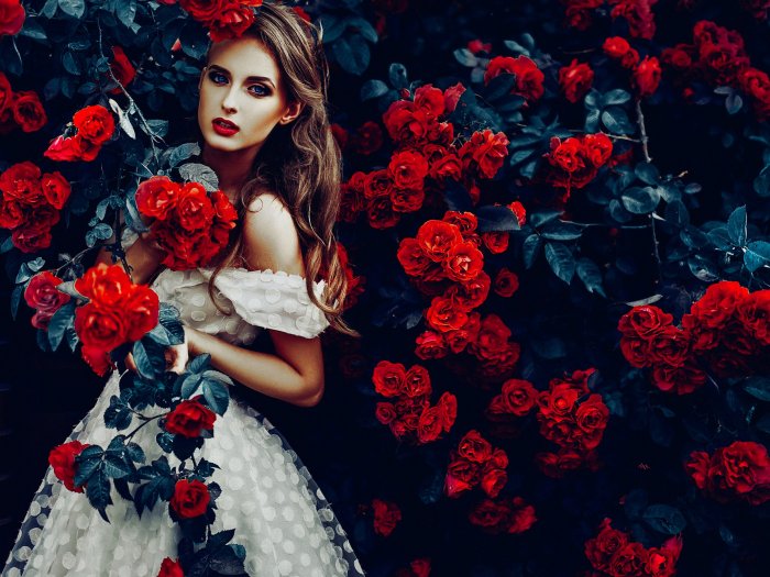 Девушка с розой