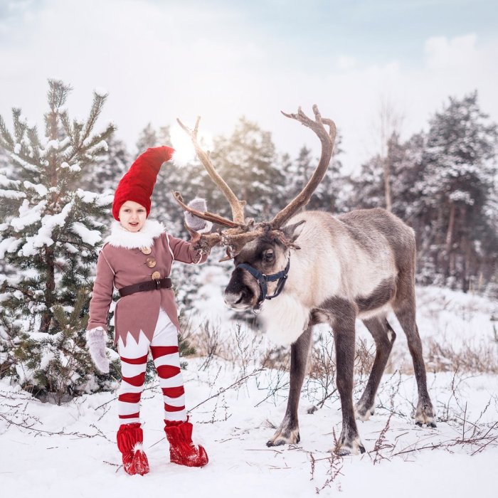 Фотосъемка с оленями