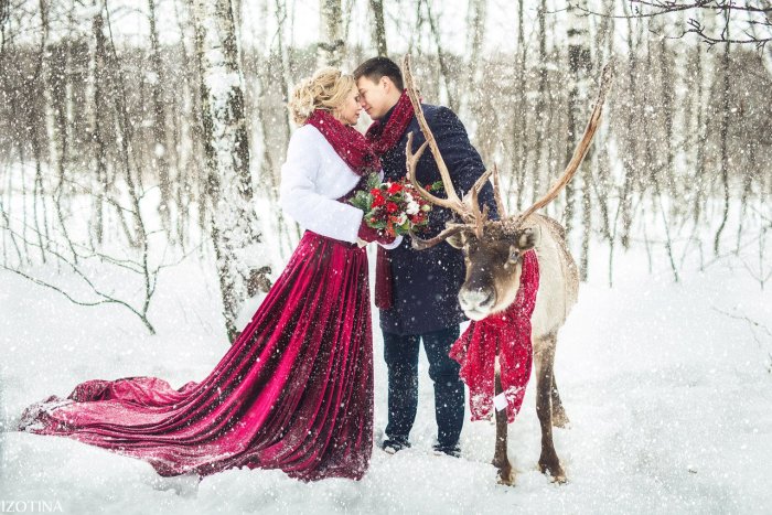 Фотосессия с оленем зимой